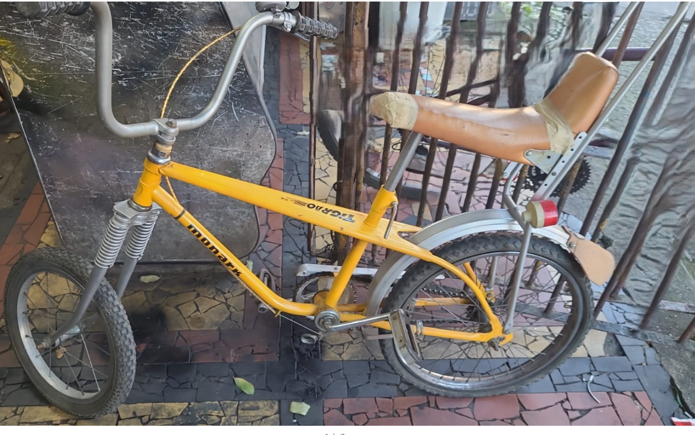 Bicicleta speed usada